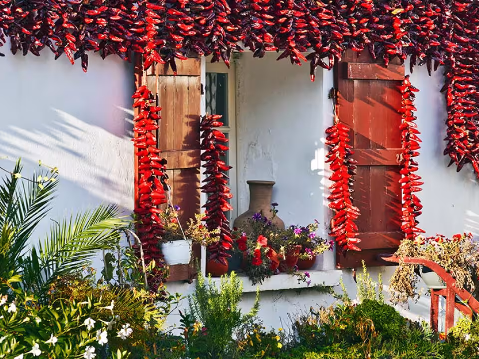 region-pays-basque-biarritz-immobilier-luxe