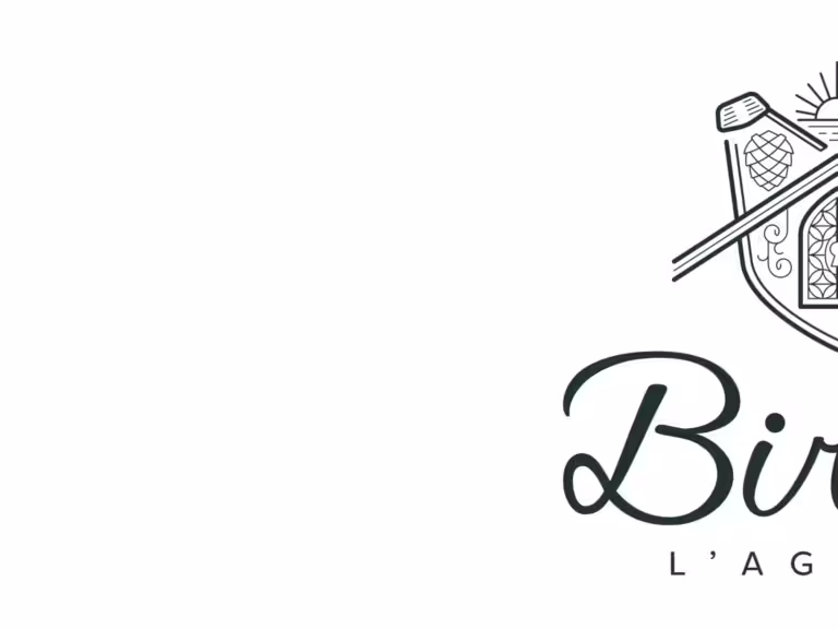 logo-birdie-vente-confidentielle-luxe-immobilier-1